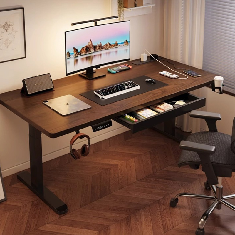 Modern Iron Dual Motor Electri - огляд і ціна Desk Setup Ergonomics
